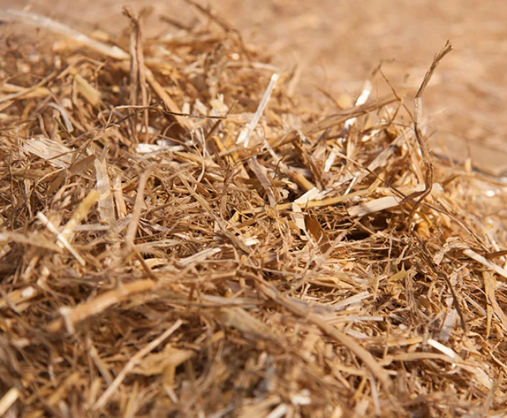 Chopped wheat straw