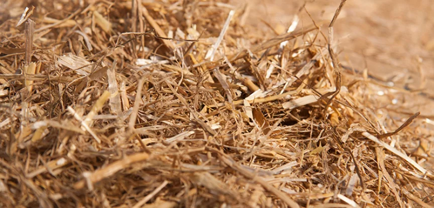Chopped wheat straw