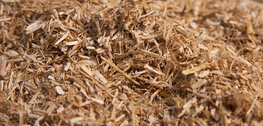 Ground rapeseed straw