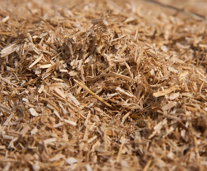 Ground rapeseed straw